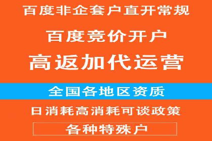 百度竞价赚钱之道：案例分析及技巧